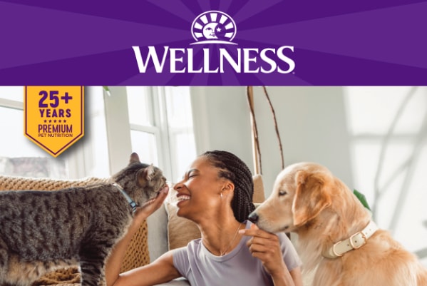 wellness HTML email